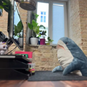 Sharkaholic Ein Stofftier Hai der am Computer im Coworking-Space in Wien!