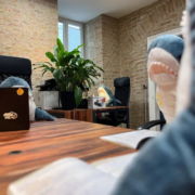 Coworking Space Stofftier Shark Meeting im Coworking-Space in Wien!